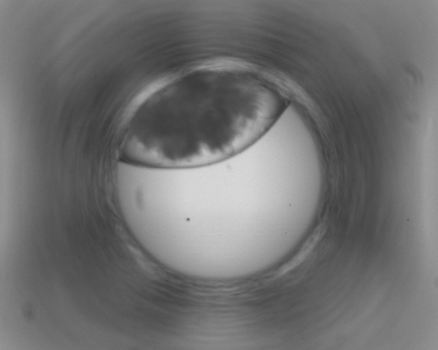 X0000114721321200910211043