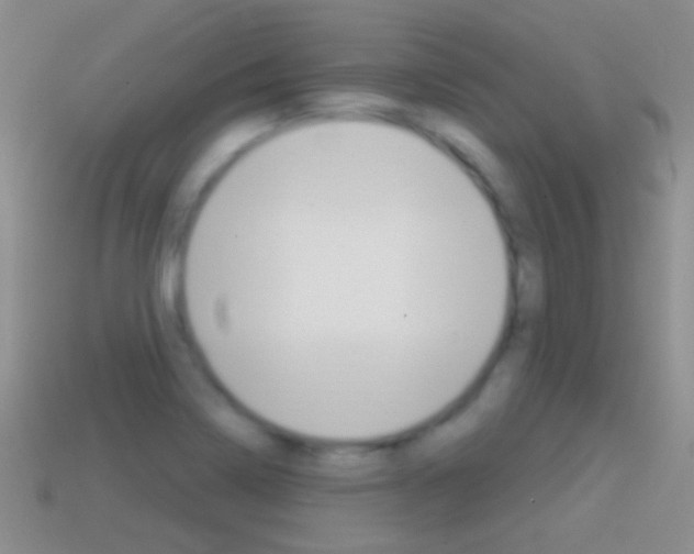 X0000114721322200910211043