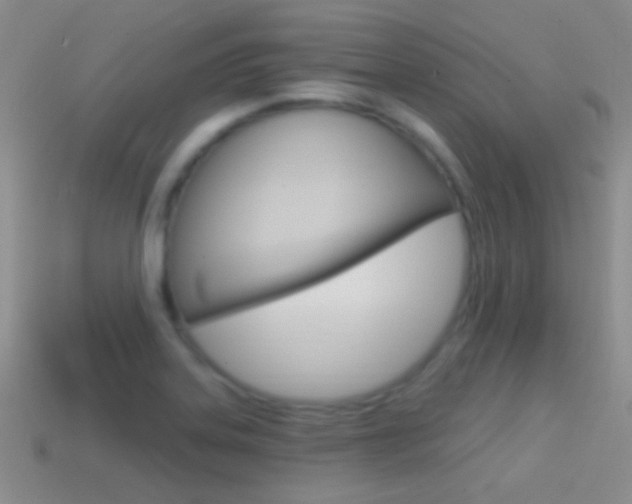 X0000114721323200910211043