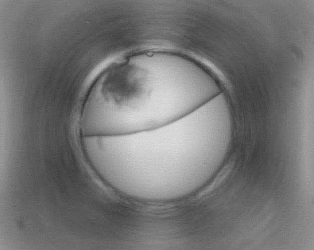 X0000114721325200910211043