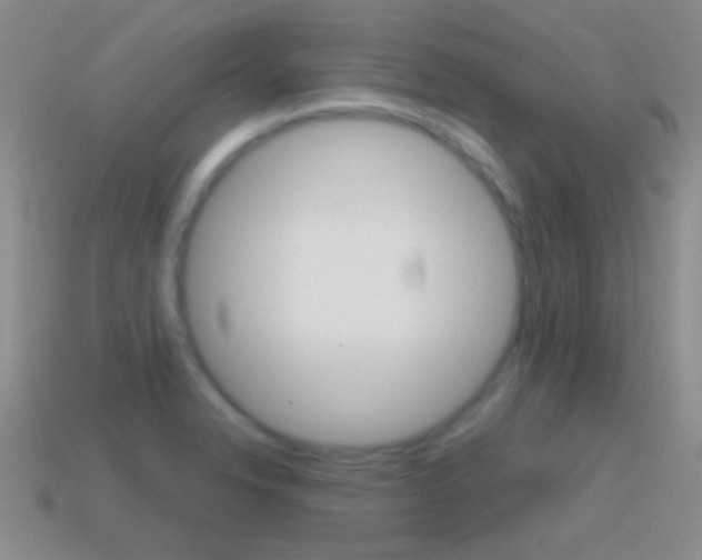 X0000114721326200910211043