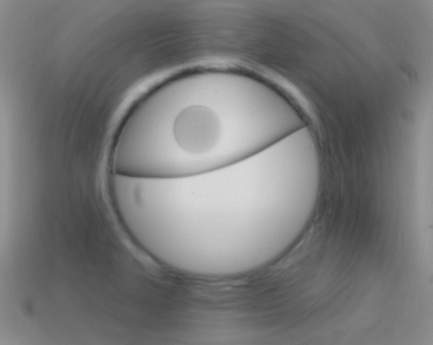 X0000114721327200910211043