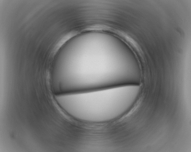 X0000114721329200910211043