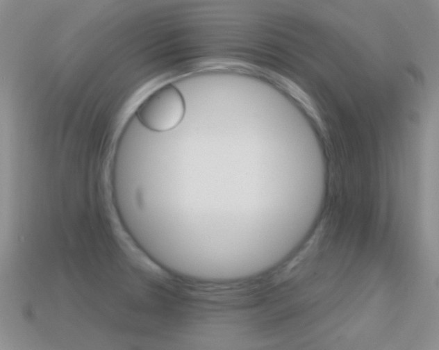 X0000114721330200910211043