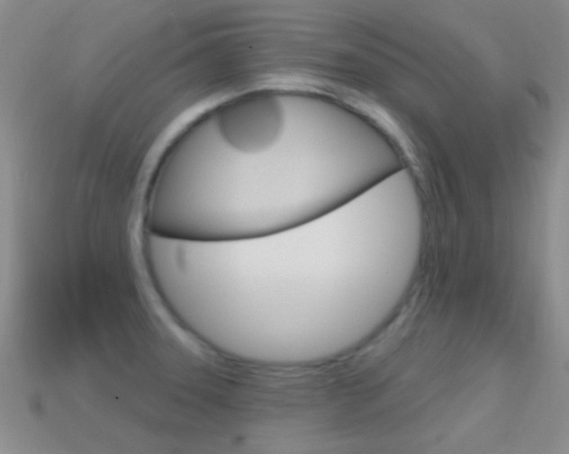 X0000114721331200910211043