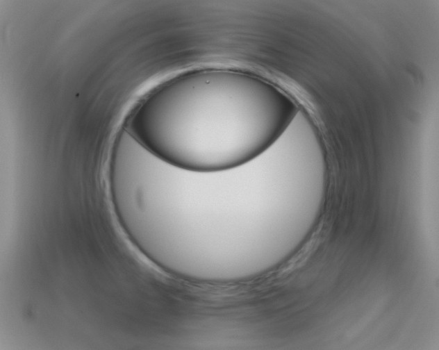 X0000114721334200910211043