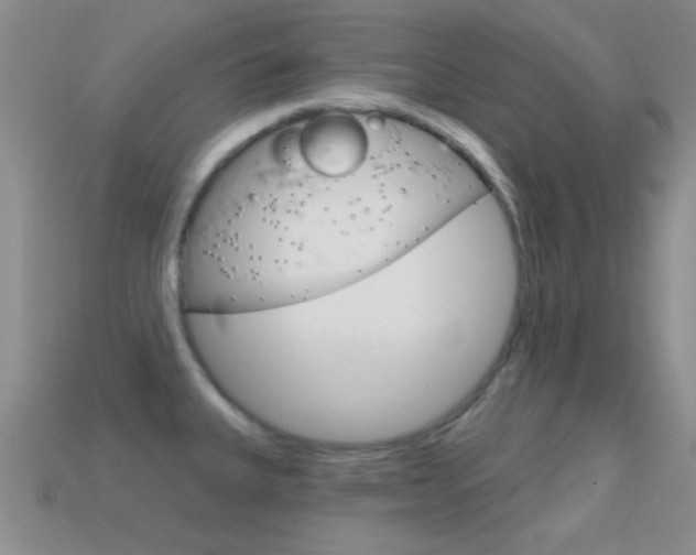 X0000114721335200910211043