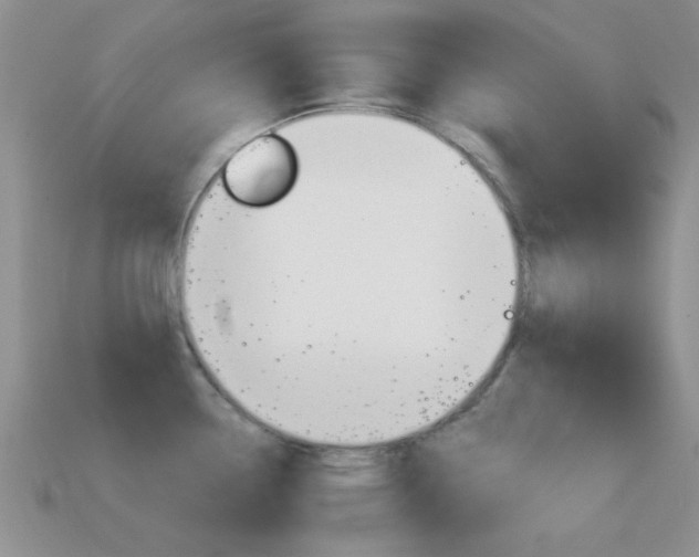 X0000114721338200910211043