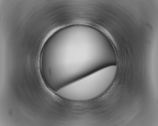 X0000114721339200910211043