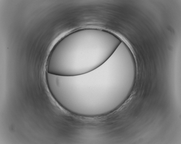 X0000114721341200910211043