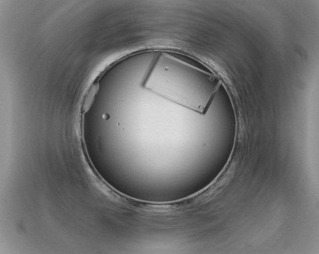 X0000114721342200910211043