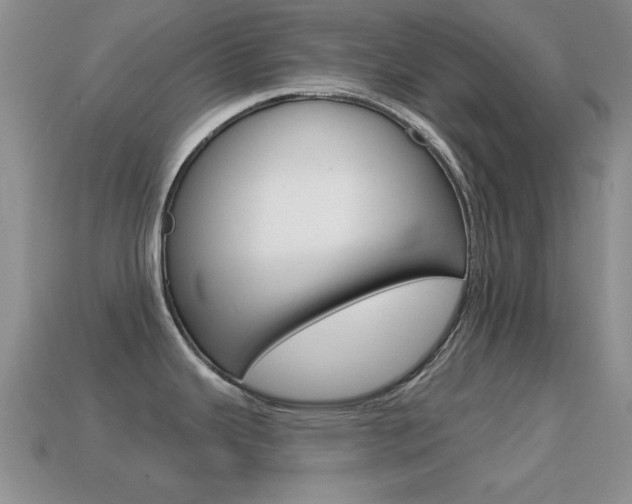 X0000114721343200910211043