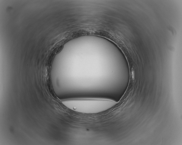 X0000114721347200910211043