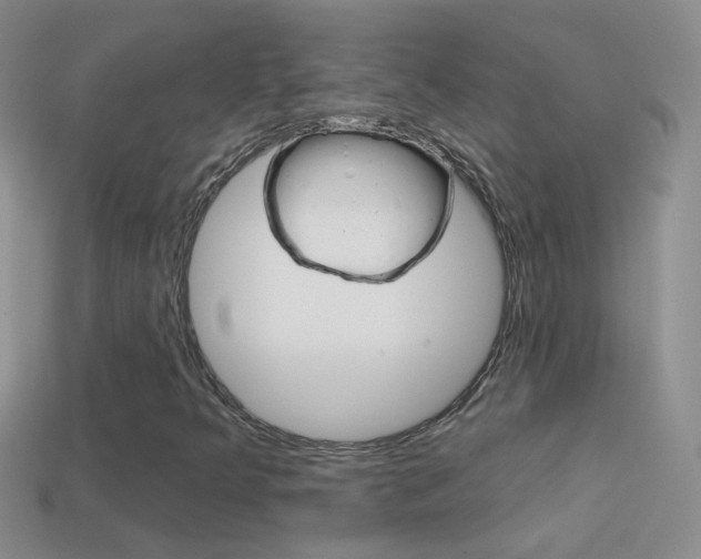 X0000114721349200910211043