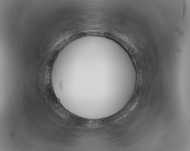 X0000114721350200910211043