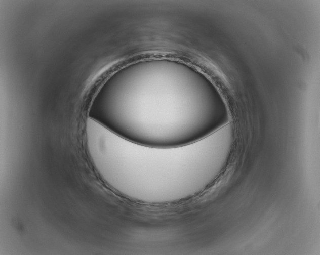 X0000114721352200910211043