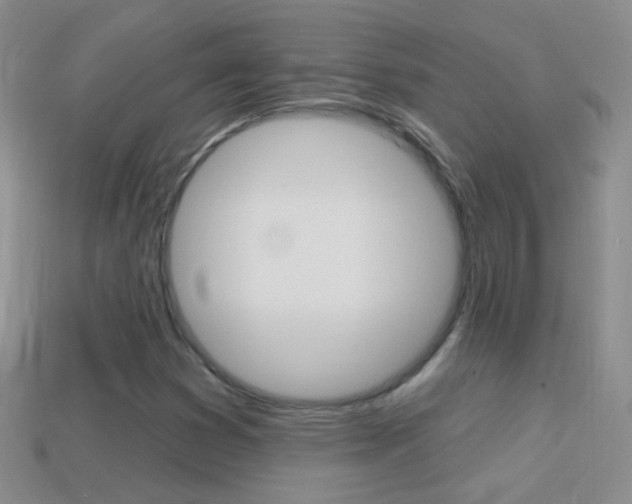 X0000114721353200910211043