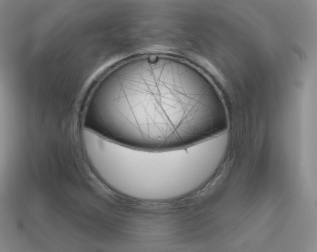 X0000114721356200910211043