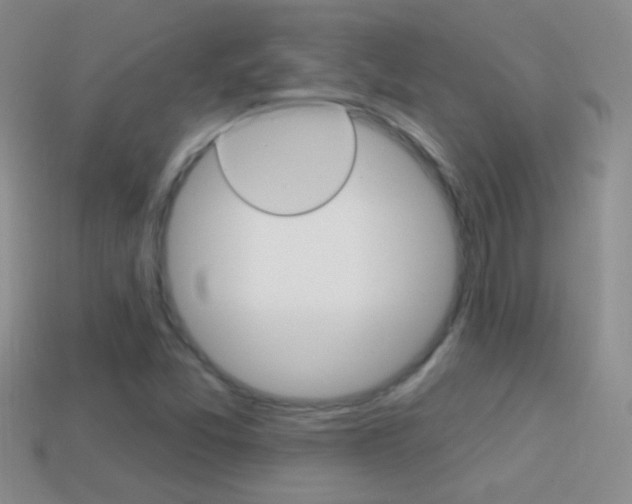 X0000114721357200910211043