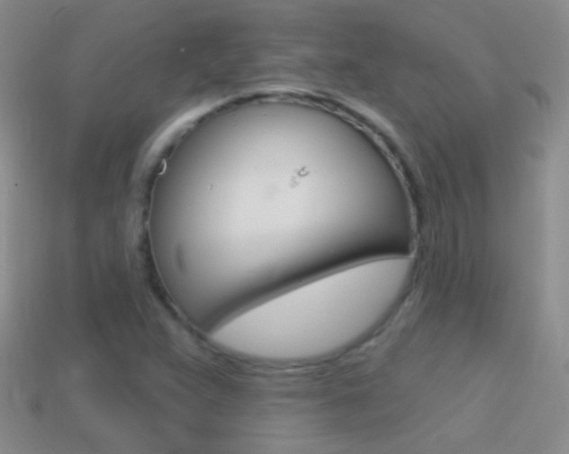 X0000114721359200910211043