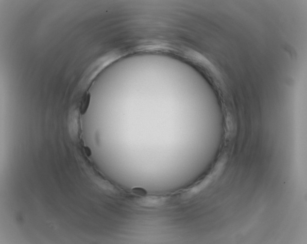 X0000114721361200910211043