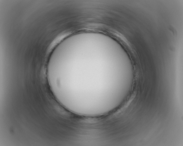 X0000114721362200910211043