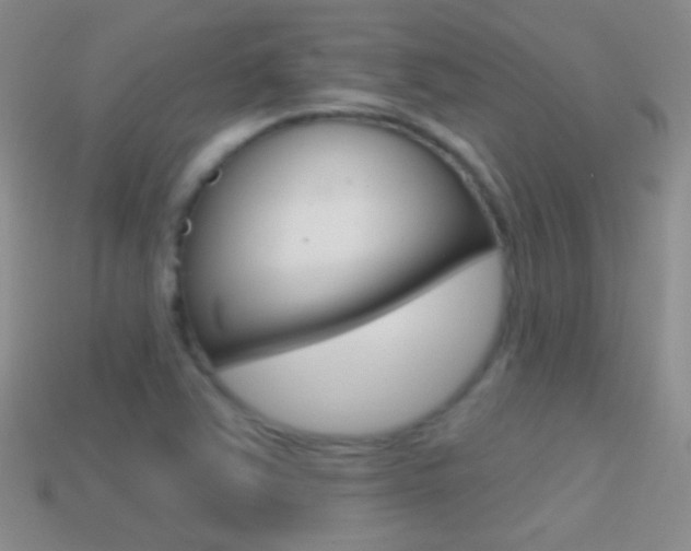 X0000114721363200910211043