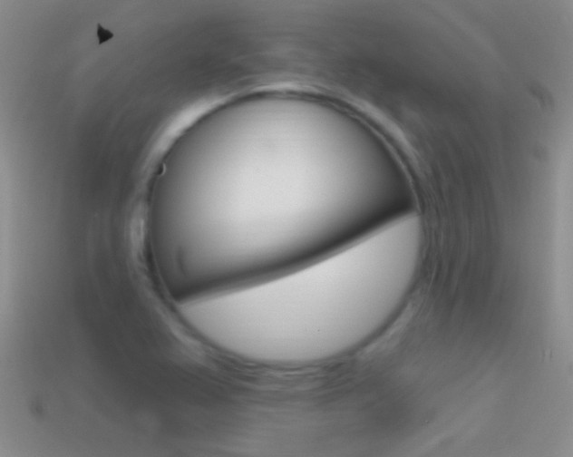 X0000114721367200910211043