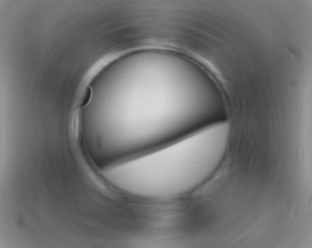 X0000114721371200910211042