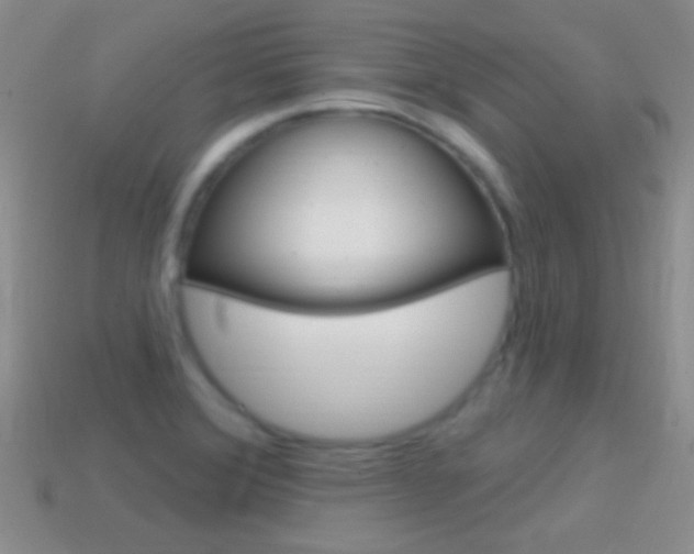 X0000114721372200910211042