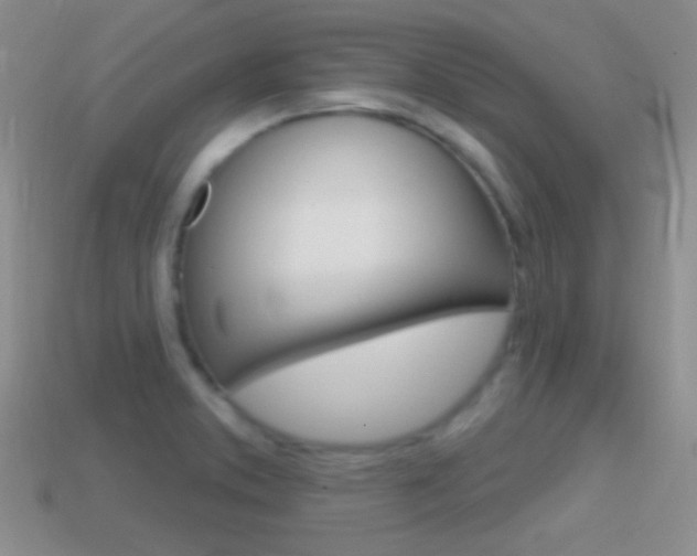 X0000114721373200910211042