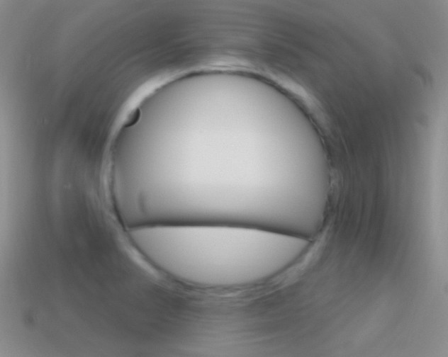 X0000114721374200910211042