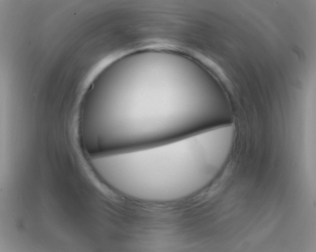 X0000114721375200910211042