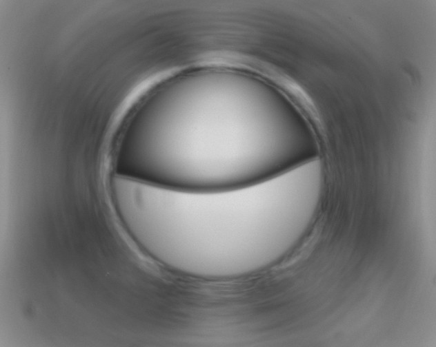 X0000114721376200910211042