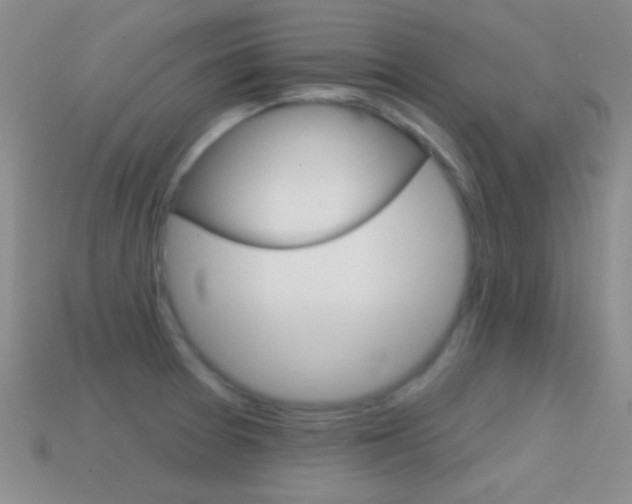 X0000114721377200910211042