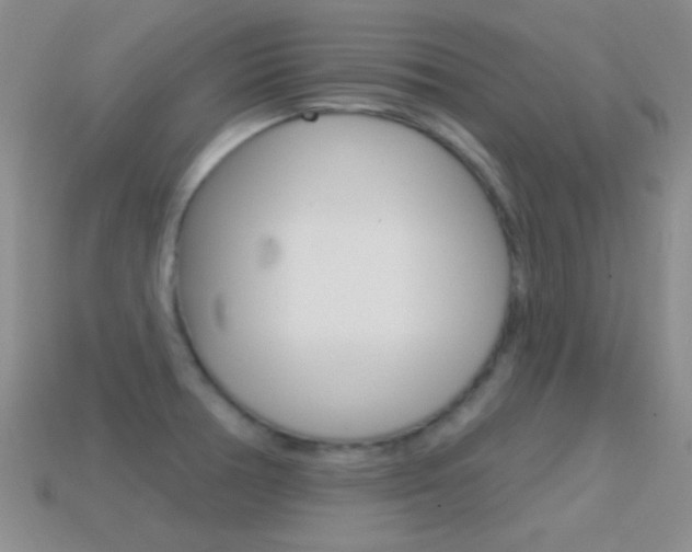 X0000114721378200910211042