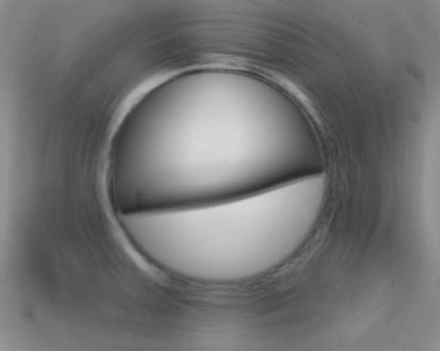 X0000114721379200910211042