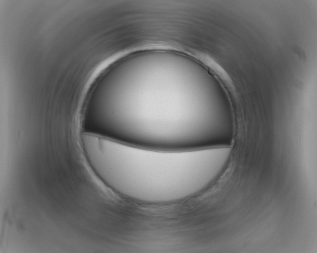 X0000114721380200910211042