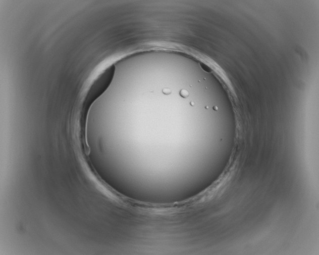 X0000114721381200910211042