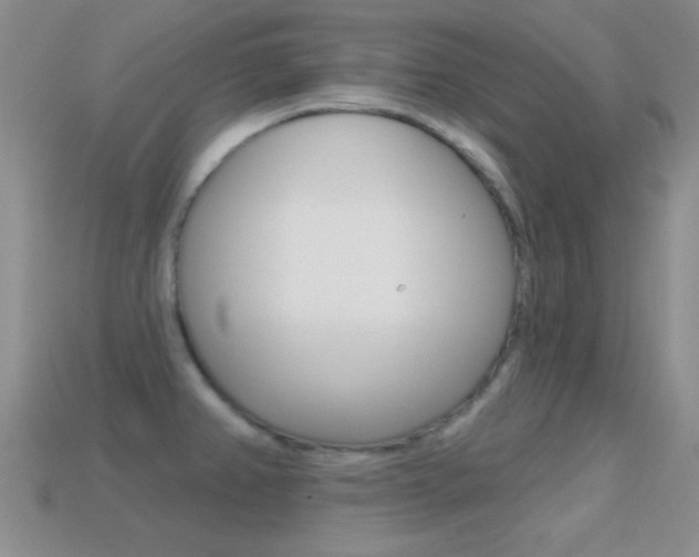 X0000114721382200910211042
