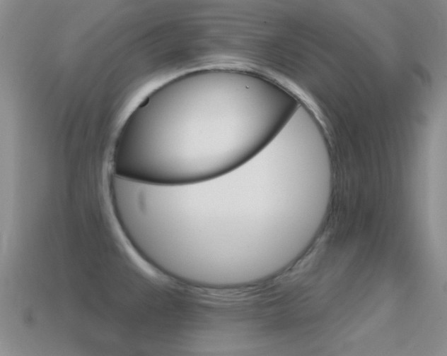 X0000114721383200910211042