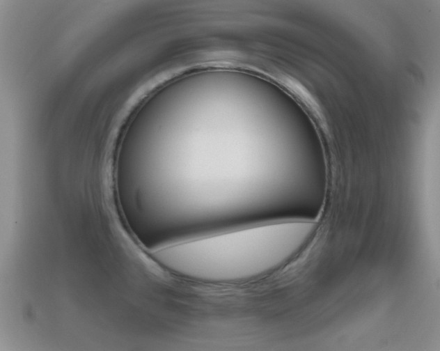 X0000114721384200910211042