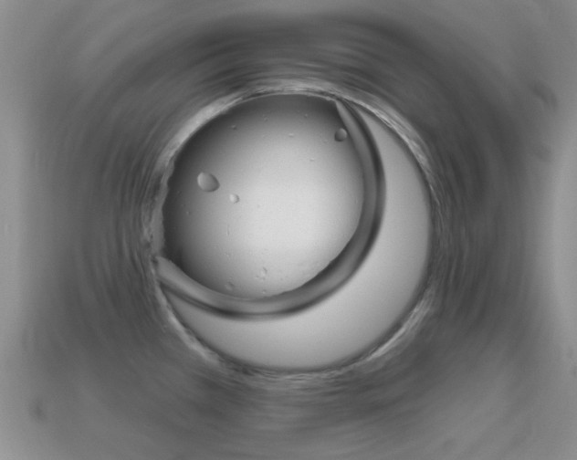 X0000114721385200910211042
