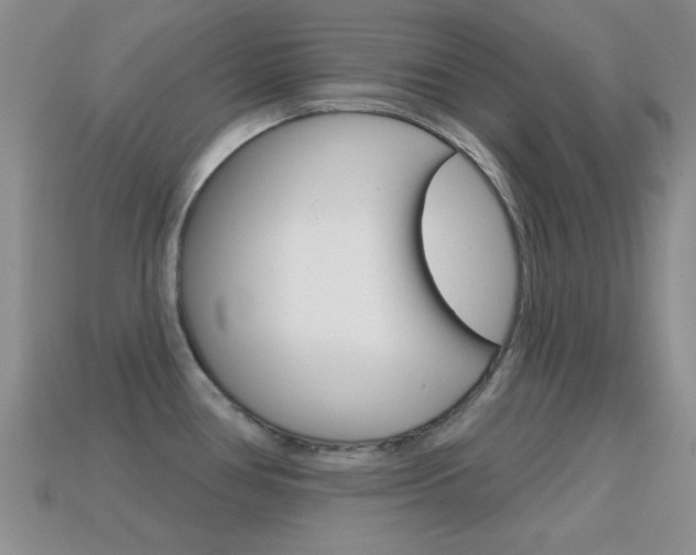 X0000114721386200910211042