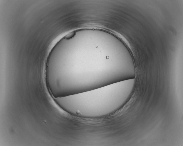 X0000114721387200910211042