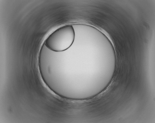 X0000114721389200910211042