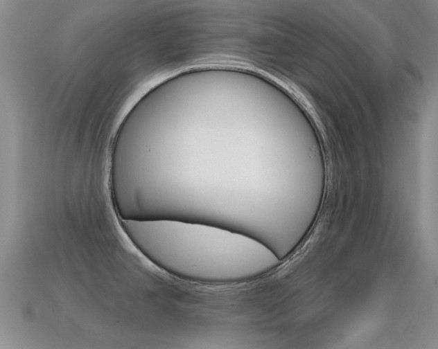 X0000114721390200910211042