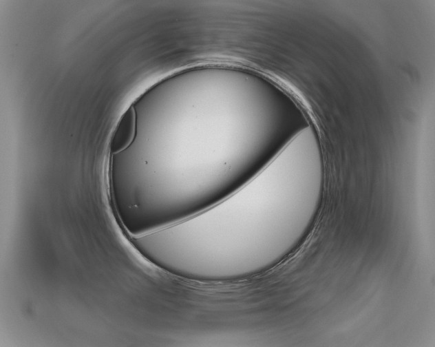 X0000114721391200910211042