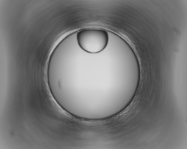 X0000114721392200910211042
