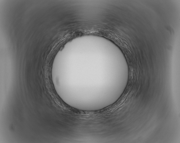 X0000114721393200910211042